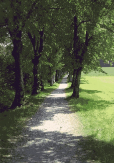 Offene Trauergruppe
